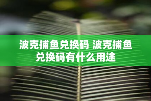 波克捕鱼兑换码 波克捕鱼兑换码有什么用途