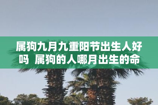 属狗九月九重阳节出生人好吗  属狗的人哪月出生的命最好