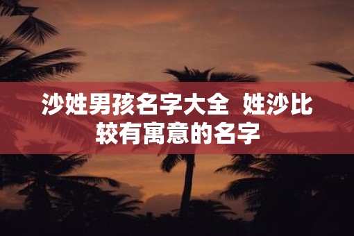 沙姓男孩名字大全  姓沙比较有寓意的名字