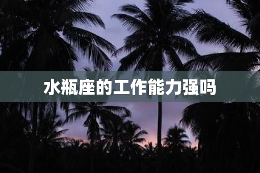 水瓶座的工作能力强吗