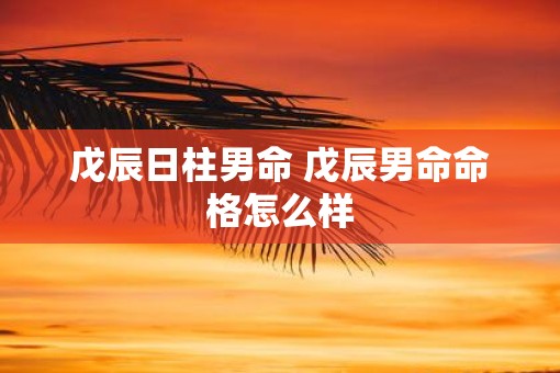戊辰日柱男命 戊辰男命命格怎么样