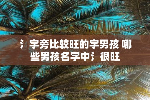 氵字旁比较旺的字男孩 哪些男孩名字中氵很旺