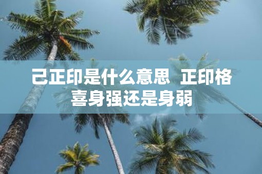 己正印是什么意思  正印格喜身强还是身弱