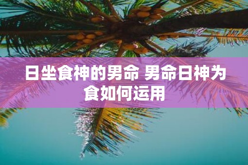 日坐食神的男命 男命日神为食如何运用