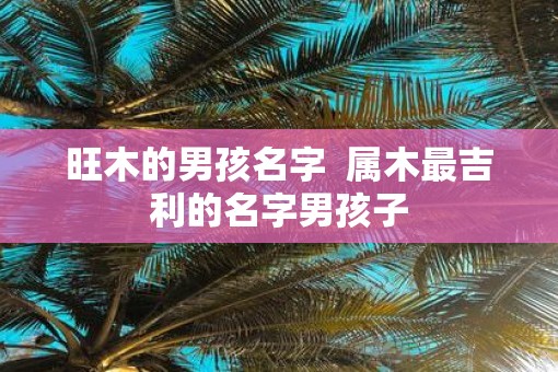 旺木的男孩名字  属木最吉利的名字男孩子