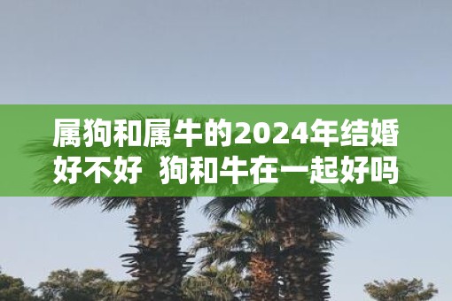 属狗和属牛的2025年结婚好不好  狗和牛在一起好吗