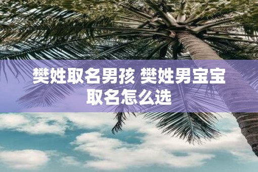 樊姓取名男孩 樊姓男宝宝取名怎么选