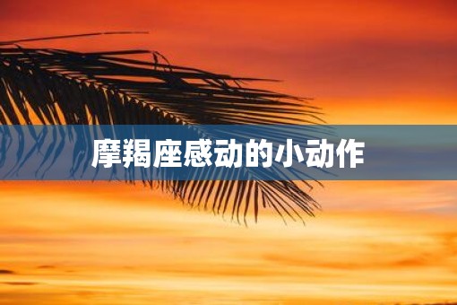 摩羯座感动的小动作