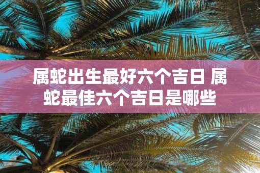属蛇出生最好六个吉日 属蛇最佳六个吉日是哪些