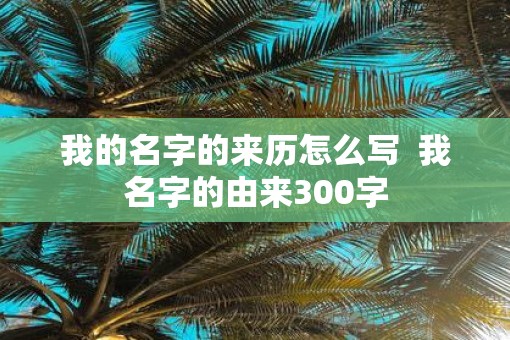 我的名字的来历怎么写  我名字的由来300字
