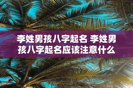 李姓男孩八字起名 李姓男孩八字起名应该注意什么
