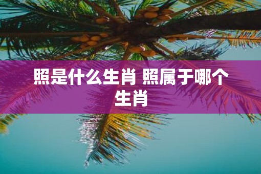 照是什么生肖 照属于哪个生肖
