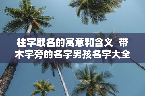 柱字取名的寓意和含义  带木字旁的名字男孩名字大全