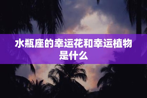 水瓶座的幸运花和幸运植物是什么