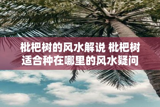 枇杷树的风水解说 枇杷树适合种在哪里的风水疑问