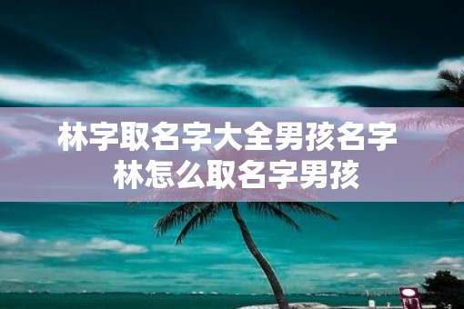 林字取名字大全男孩名字  林怎么取名字男孩