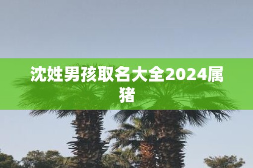 沈姓男孩取名大全2025属猪