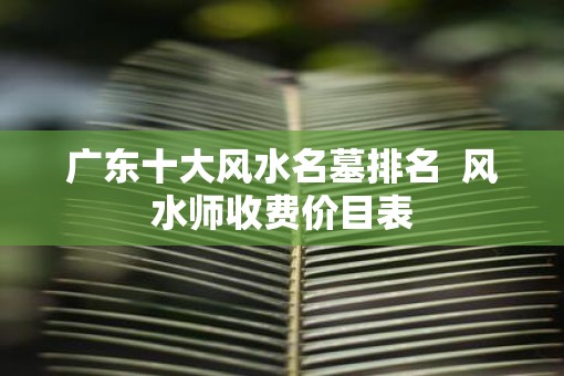 广东十大风水名墓排名  风水师收费价目表