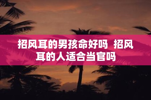 招风耳的男孩命好吗  招风耳的人适合当官吗