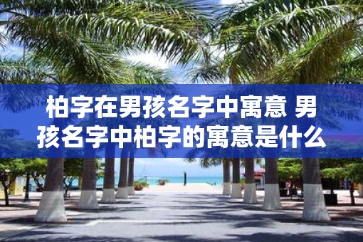 柏字在男孩名字中寓意 男孩名字中柏字的寓意是什么