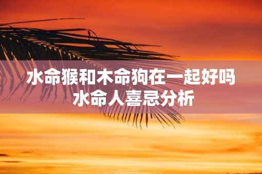 水命猴和木命狗在一起好吗 水命人喜忌分析