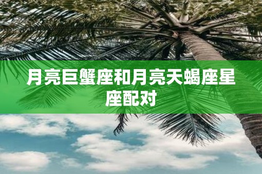 月亮巨蟹座和月亮天蝎座星座配对