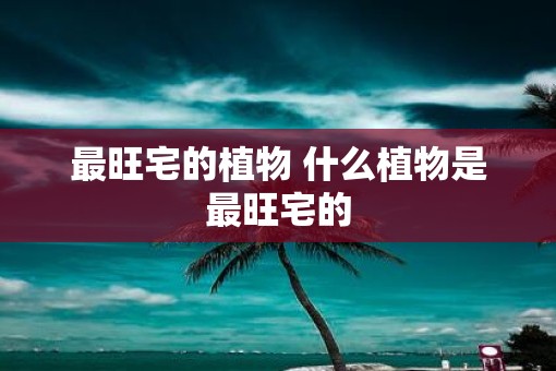 最旺宅的植物 什么植物是最旺宅的