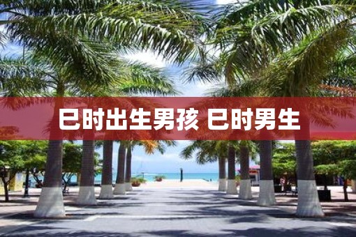 巳时出生男孩 巳时男生