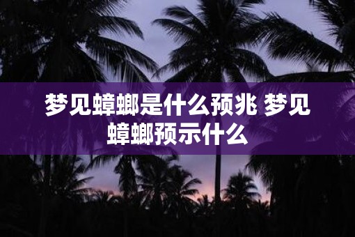 梦见蟑螂是什么预兆 梦见蟑螂预示什么