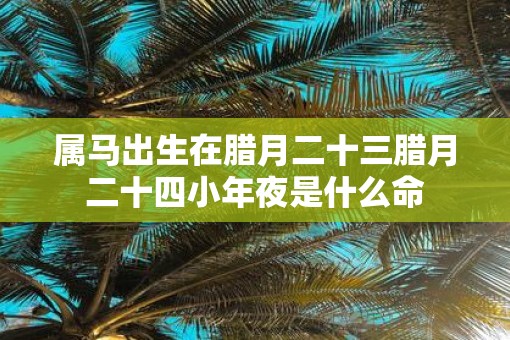 属马出生在腊月二十三腊月二十四小年夜是什么命