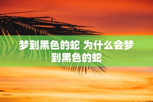 梦到黑色的蛇 为什么会梦到黑色的蛇
