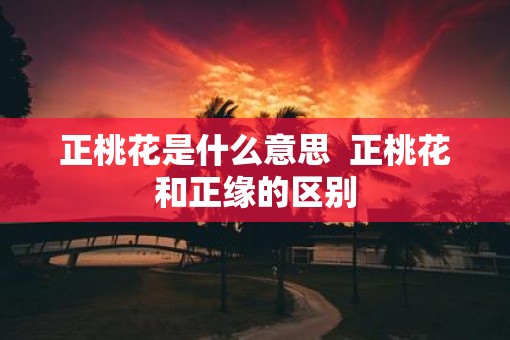 正桃花是什么意思  正桃花和正缘的区别