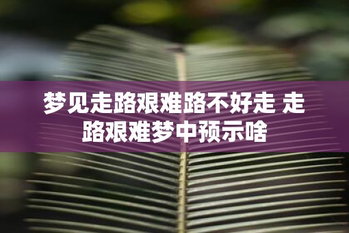 梦见走路艰难路不好走 走路艰难梦中预示啥