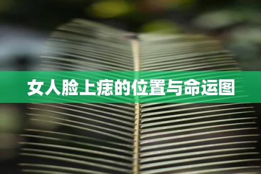 女人脸上痣的位置与命运图