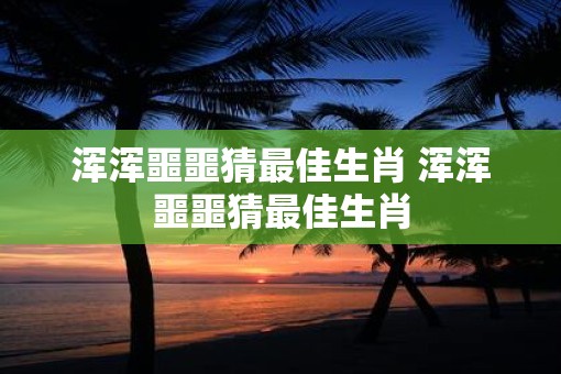 浑浑噩噩猜最佳生肖 浑浑噩噩猜最佳生肖