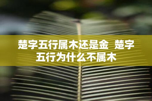 楚字五行属木还是金  楚字五行为什么不属木