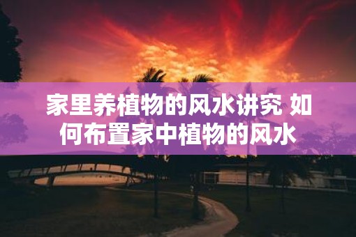 家里养植物的风水讲究 如何布置家中植物的风水