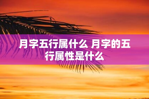 月字五行属什么 月字的五行属性是什么