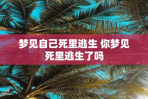 梦见自己死里逃生 你梦见死里逃生了吗 梦见自己死里逃生 你梦见死里逃生了吗