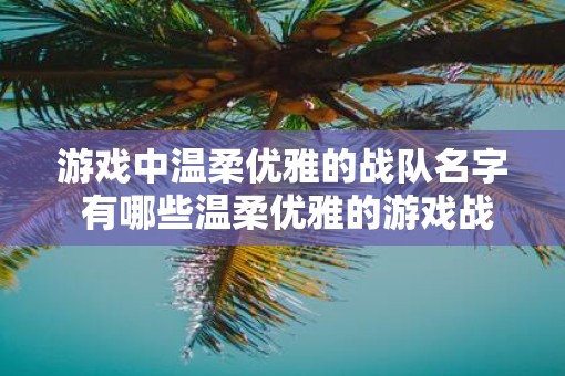 游戏中温柔优雅的战队名字 有哪些温柔优雅的游戏战队名字
