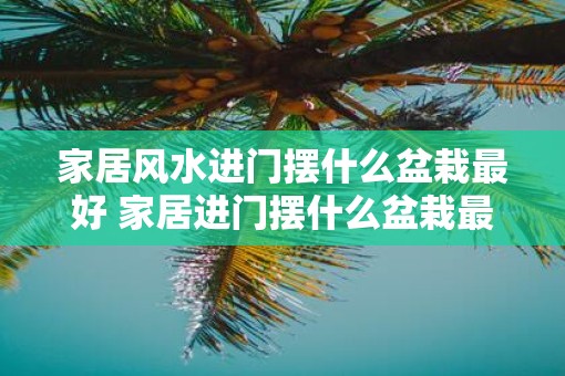 家居风水进门摆什么盆栽最好 家居进门摆什么盆栽最好
