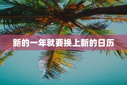 新的一年就要换上新的日历