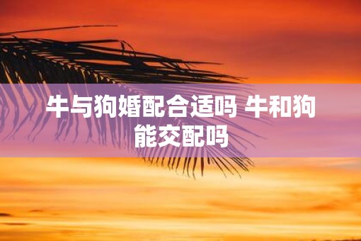牛与狗婚配合适吗 牛和狗能交配吗