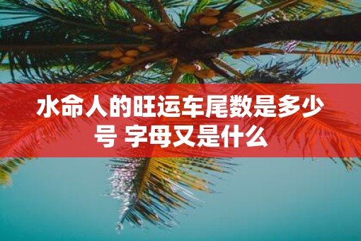 水命人的旺运车尾数是多少号 字母又是什么