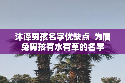 沐泽男孩名字优缺点  为属兔男孩有水有草的名字