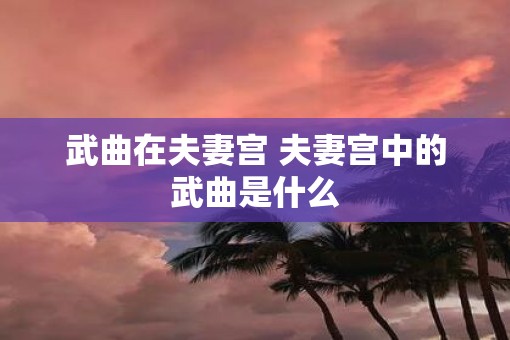 武曲在夫妻宫 夫妻宫中的武曲是什么
