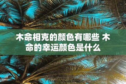 木命相克的颜色有哪些 木命的幸运颜色是什么