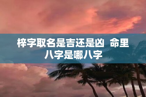 梓字取名是吉还是凶  命里八字是哪八字