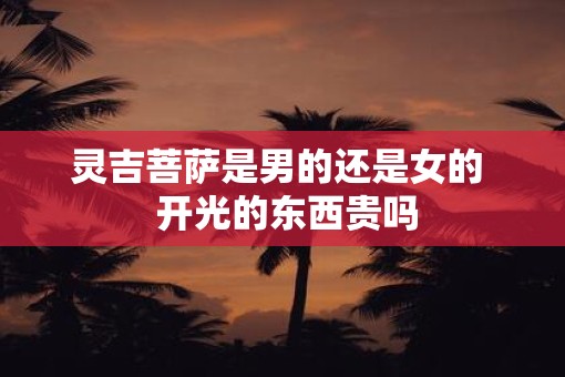 灵吉菩萨是男的还是女的  开光的东西贵吗