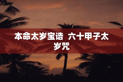 本命太岁宝诰  六十甲子太岁咒
